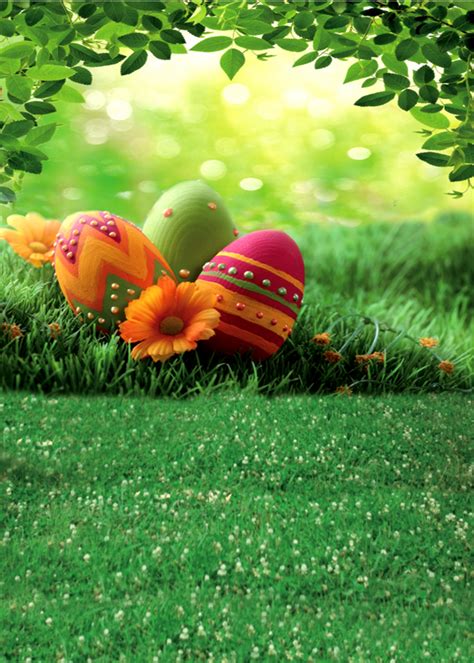 Easter Photo Backdrop Easter Backdrops Egg Photo Greetings Images