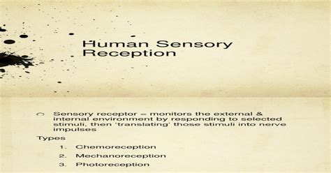 Human Sensory Reception Pdf Document
