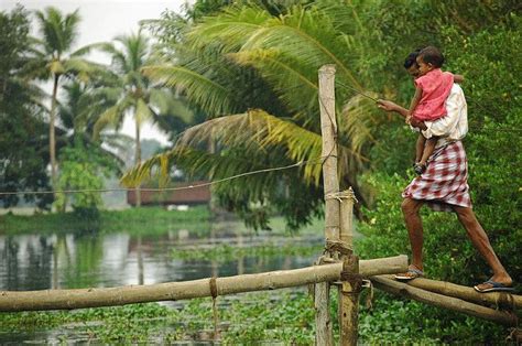 17 Best Images About Kerala Village Life On Pinterest Runners