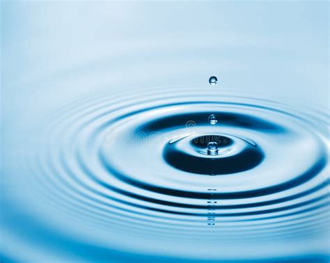 Water Drop And Ripple In The Water Stock Photo Image Of Rippled