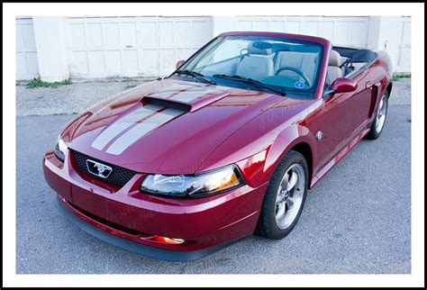 2004 40th Anniversary Mustang Gt Convertible 2004 40th Ann Flickr