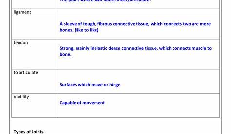 joints and movement worksheets
