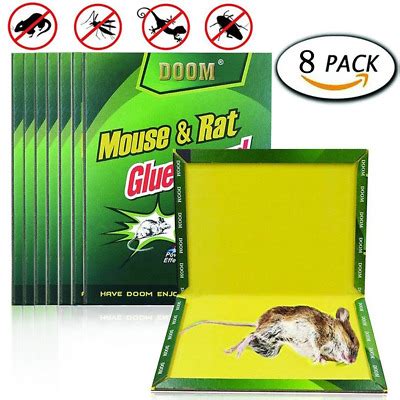 New Mouse Trap Mice Rat Glue Traps Peanut Butter Scented Mouse Glue Board Ebay