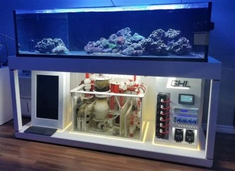 6 Best Reef Sumps Aquarium Sump Fish Tank Saltwater Fish Tanks