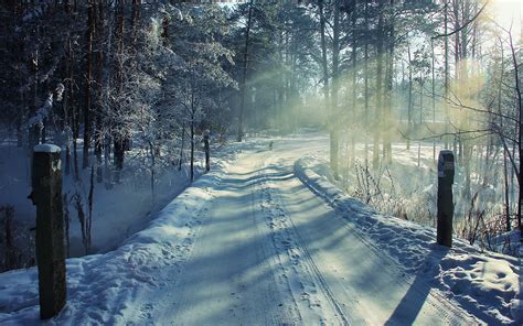 Snow Covered Trees And Road Winter Landscape Snow Nature Hd