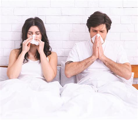 Hausstaubmilben Sind Sie Der Grund Für Ihre Allergie Und Ihre Symptome Die Darmexpertin