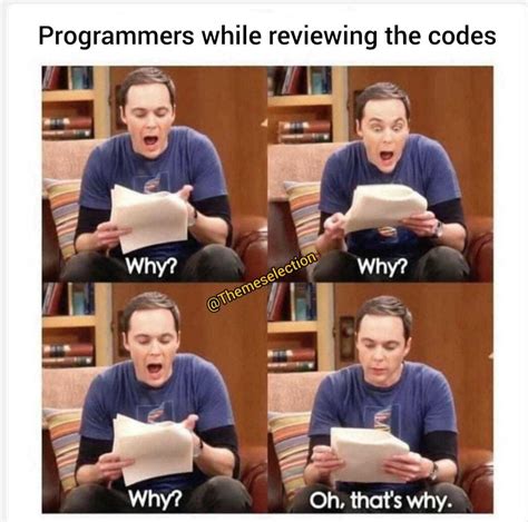 Logic While Coding Logic While Reviewing The Same Code Programmerhumor