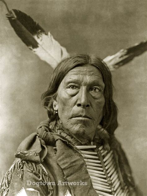 Image Result For Rare Portraits Of Native American Elders Native