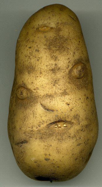 Angry Mr Potato Head Funny Fruit Food Humor Funny Vegetables