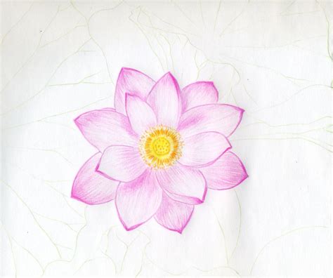 Realistic Drawing Of A Flower At Getdrawings Free Download