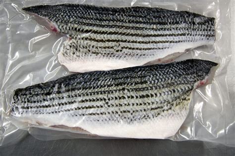 Farmed True Striped Bass Baja Santa Monica Seafood