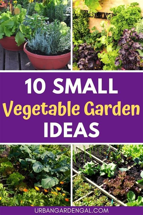 10 Small Vegetable Garden Ideas Small Vegetable Gardens Garden