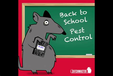 Back To School Pest Control 101 Catchmaster Pro