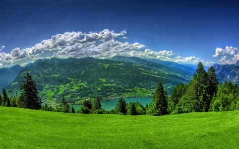 Wallpaper Download 5120x3200 Beautiful Green Nature Landscape