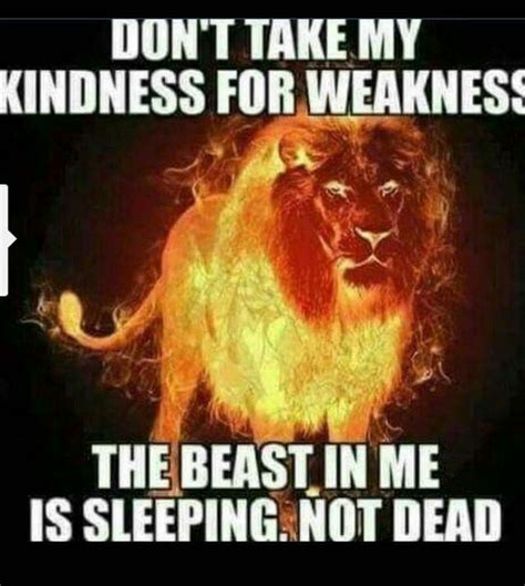 We will never sleep cause sleep is for the weak? Don't Take My Kindness For Weakness. The Beast In Me Is Sleeping Not Dead | Weakness quotes ...