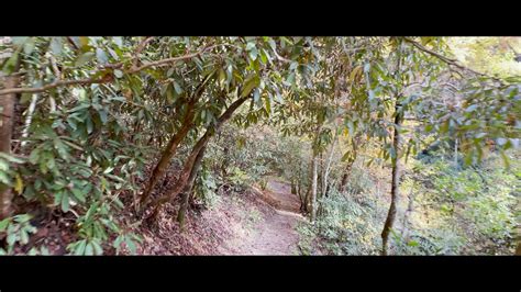 Creation Falls Red River Gorge Kentucky Youtube