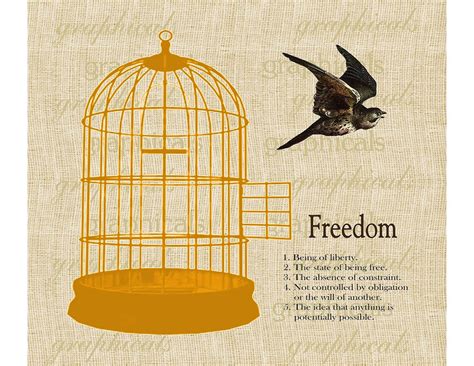 Items Similar To Orange Birdcage Bird Freedom Definition