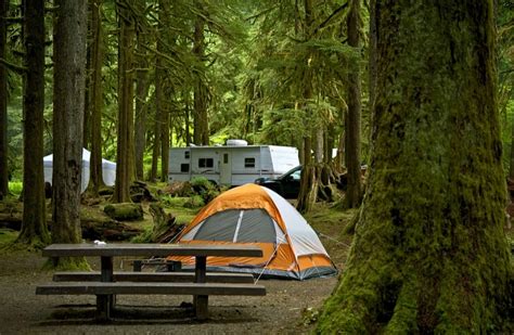 The Best Camping In Olympic National Park Beyond The Tent