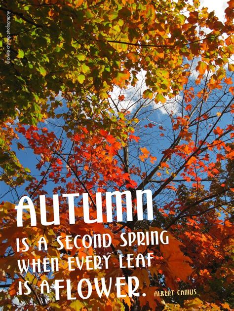 Happy Autumn Happy Fall Happy Autumn