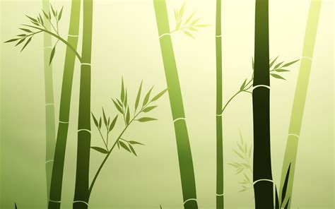 Hd Bamboo Backgrounds Download Pixelstalknet