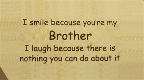 274 Memorable Brother Quotes To Show Your Appreciation Bayart