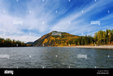 Siberian Autumn Landscape On The River Oka River Eastern Siberia
