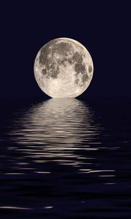 Photography Water Reflection Moonlight 23 Best Ideas Photography