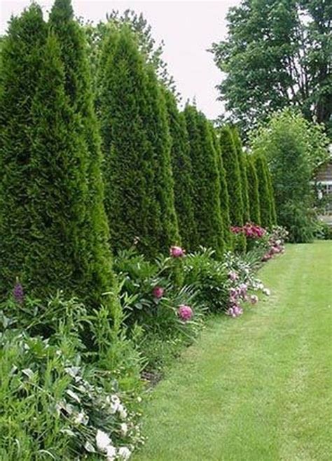 Decoomo Trends Home Decor Privacy Fence Landscaping Privacy