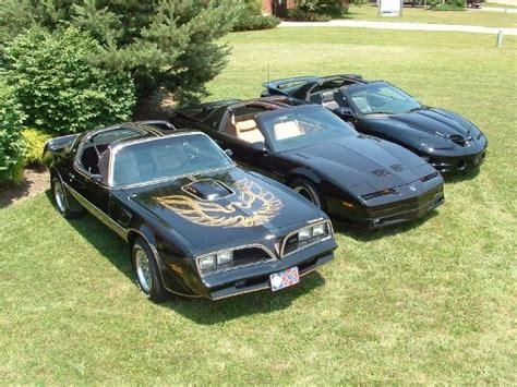 Firebird Facts Every Car Enthusiast Should Know Did You Know Cars