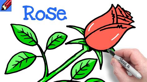 Draw A Rose Step By Step For Beginners Valentines Day
