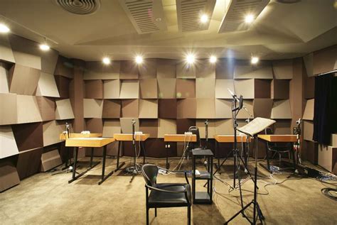 Sound Proof Recording Studio Non Warping Patented Wooden Pivot Door
