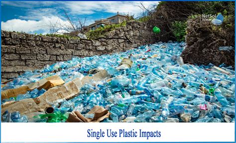 What Is Impact Of Single Use Plastic Netsol Water