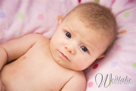 Two Month Old Baby Pictures Wedlake Photographic