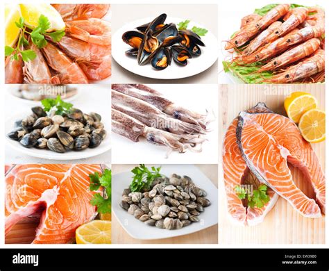 Collage De Fotos De Los Productos De La Pesca Fotografía De Stock Alamy