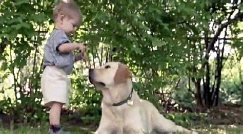 Video Of Incredible Bond Between Boy And Dog Leads To Inspiring Story