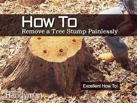 In the meantime it may cause a variety of difficulties, from unsightly chemical methods for how to kill a tree stump cost less and require less time and effort. How To Remove A Tree Stump Painlessly