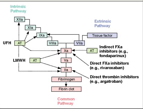 Figure 1 from Rivaroxaban: an oral direct inhibitor of factor Xa ...