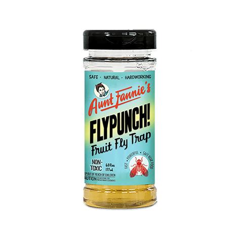 Aunt Fannie's FlyPunch 6-fl oz Home & Perimeter Indoor Insect Trap