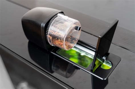 Automatic Fish Feeder: Complete Guide To Picking The Best One