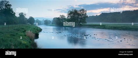 Early Morning Light Over A Misty River Wharfe In Yorkshire England