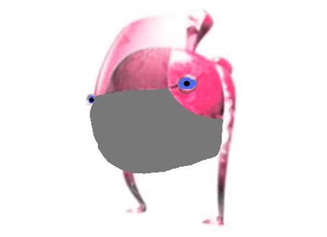 The ones you use to tempt your toddler to imitate the so. Ballistic Groink - Pikcanon-NOT, The Pikmin Fanon Wiki ...