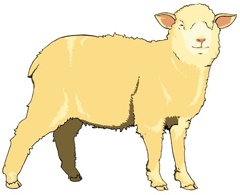 Sheep Clip Art Cartoon Free Clipart Images Wikiclipart