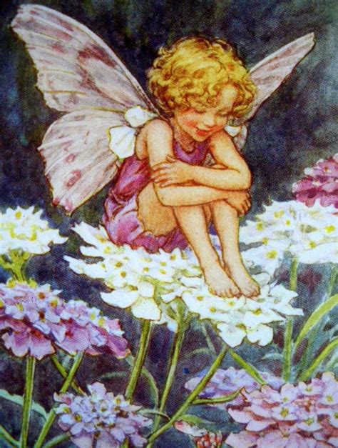 The Candy Tuft Fairy Cicely Mary Barker 1930s Print Cicely Mary