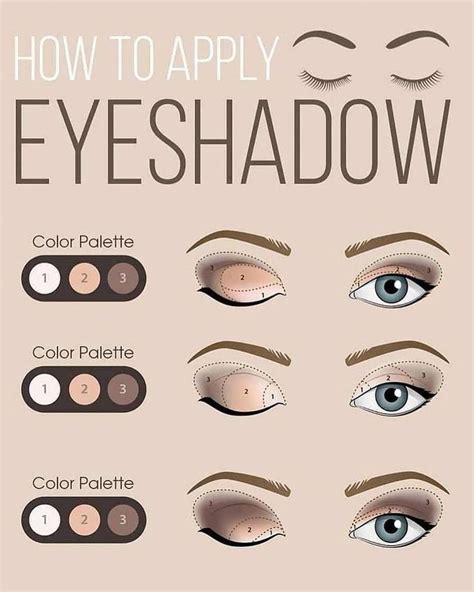 Eyeshadow Diagram How To Apply Sara Lane