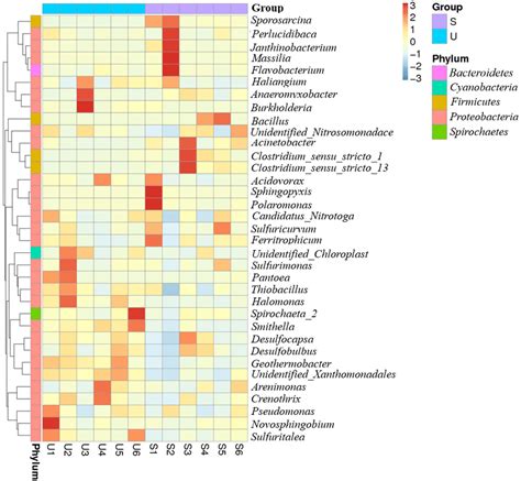 Heat Map Of Top Abundant Genus Level In Each Sample The Color Download Scientific Diagram