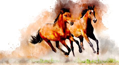 Watercolor Horse Animal Free Image On Pixabay