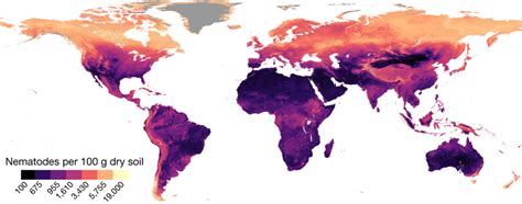 Global Map Of Soil Nematode Density At The 30 Arcsec Approximately