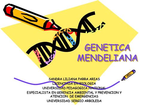 Ppt Genetica Mendeliana Powerpoint Presentation Free Download Id