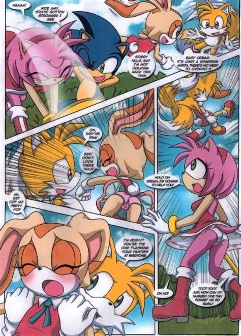 Rule 34 A Sparring Session Amy Rose Cream The Rabbit Dakina Writer Female Fur Furry Tail