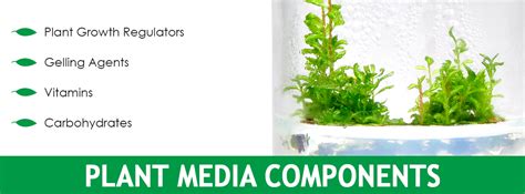PhytoTechnology Laboratories
